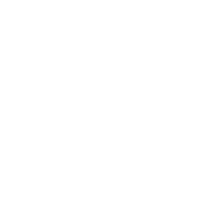 Siemens Logo