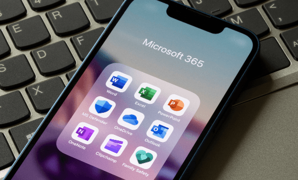 What You Receive from Your Microsoft 365 Assessment