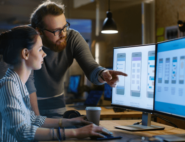 What You Receive from Your Software Application Assessment