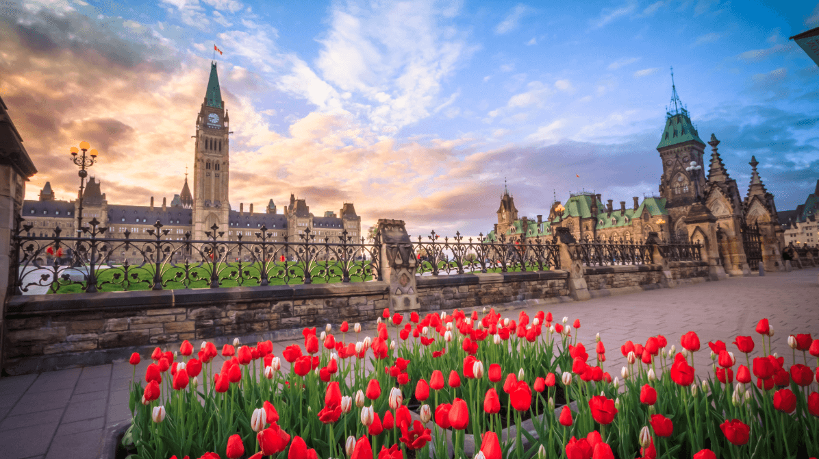 What to expect from IT Helpdesk and End User Support for Ottawa Businessses